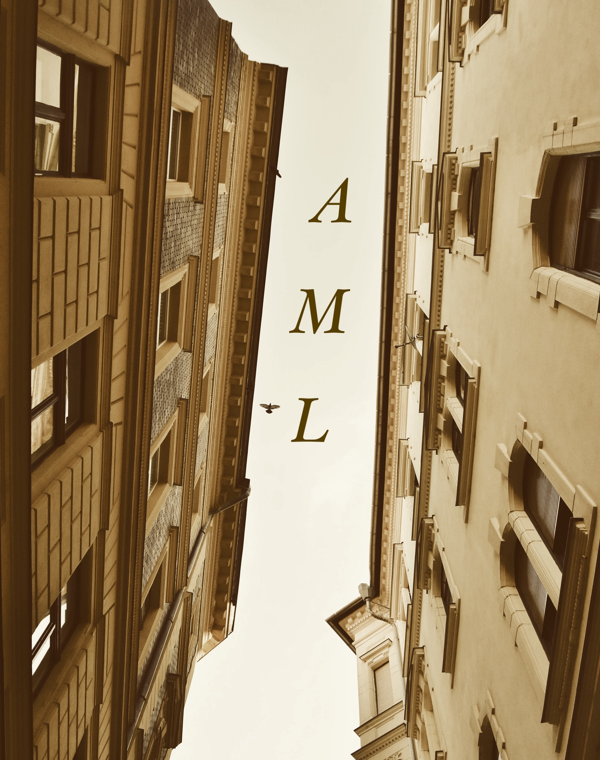 AML – zmiany dla pośredników nieruchomości